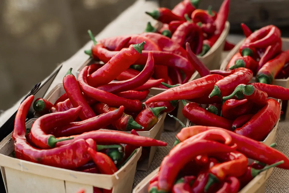 Baskets are overflowing with red chilli peppers.