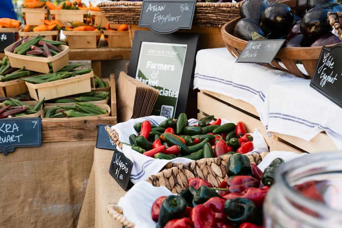 Fresh vegetables—peppers, jalepenos, egg plant, and okra—fill baskets on a table.