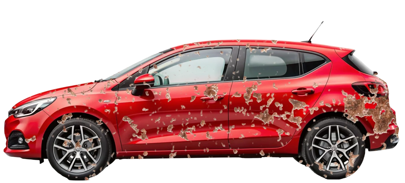 License Image