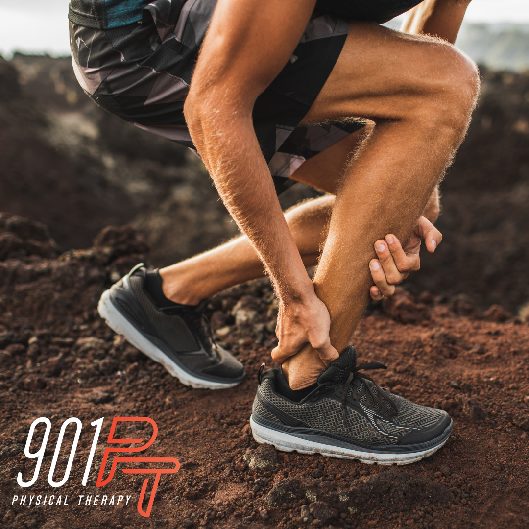 Fitness Blog