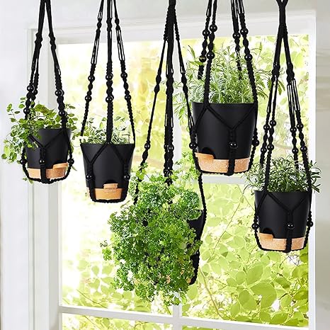 Eco friendly plant hangers built for wellness and sustainability