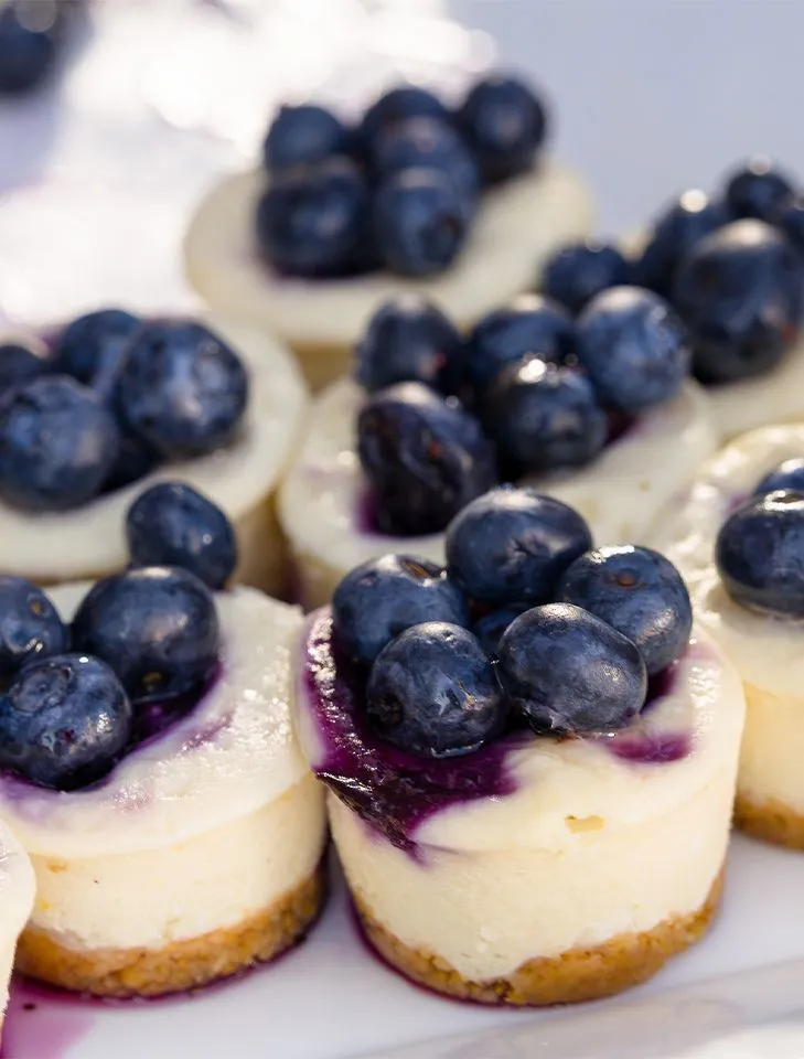 Mini blueberry cheesecake bites topped with fresh blueberries and blueberry sauce