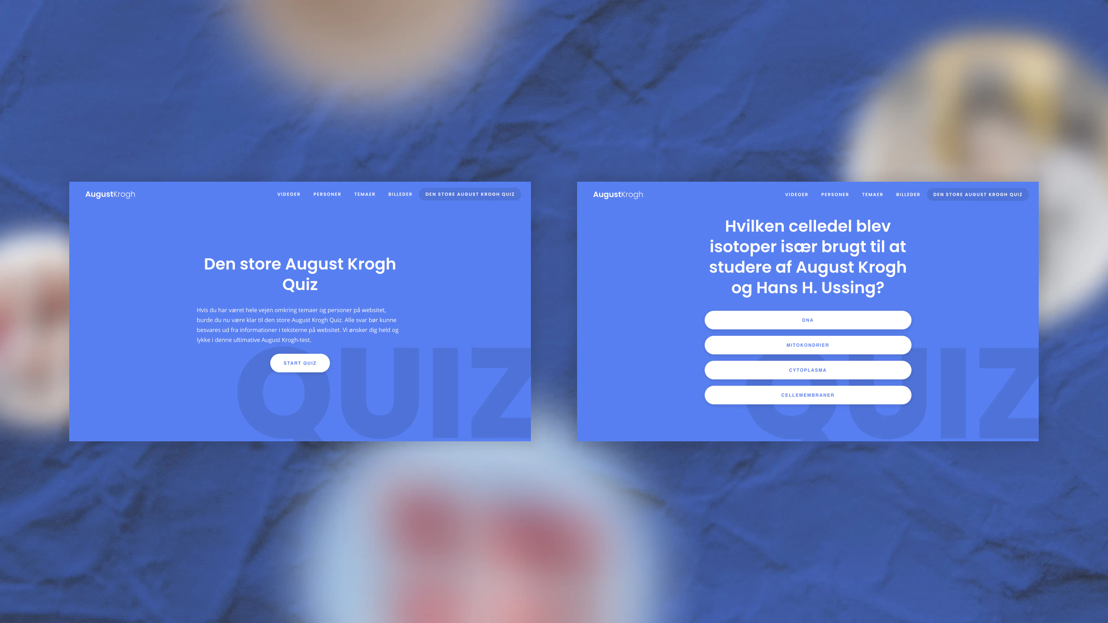 August Krogh interactive quiz design, inviting users to test knowledge about science, history, and discoveries through playful questions.