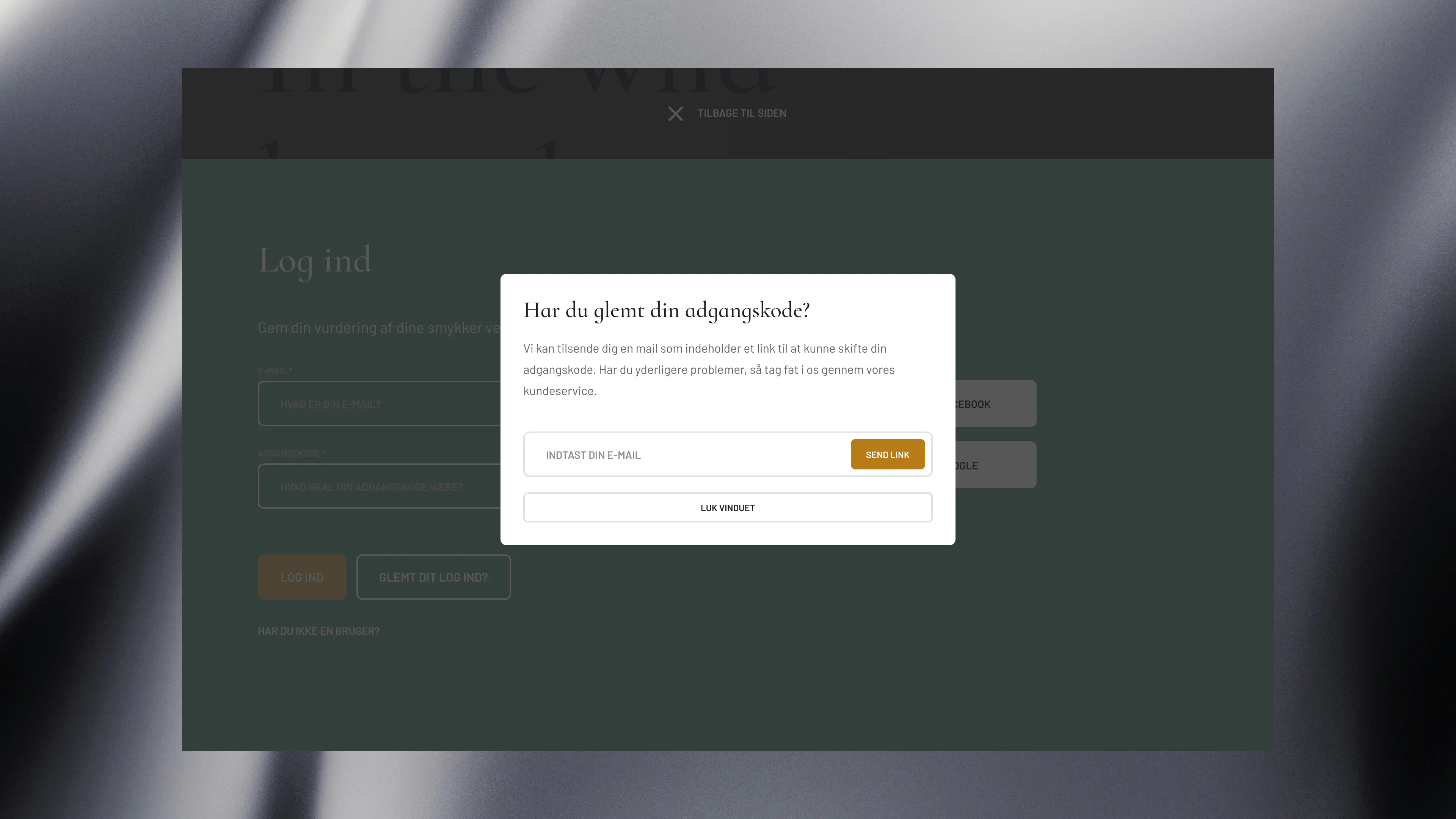 Modal popup for Mælt’s login system showing the password recovery flow, with clear input fields and a clean, minimal design.