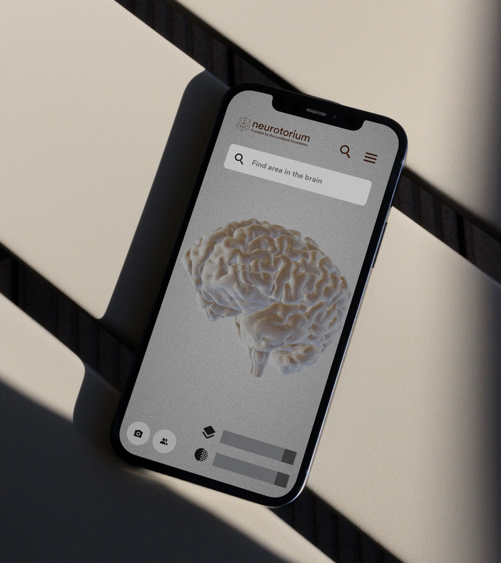 Neurotorium iPhone mockup placed on a bench, displaying brain atlas feature with a clean search interface and a 3D model.