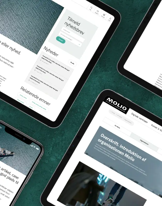 Molio digital platform interfaces displayed across mobile and tablet devices, showcasing editorial content, newsletters, and organisational tools within a clean professional design system.