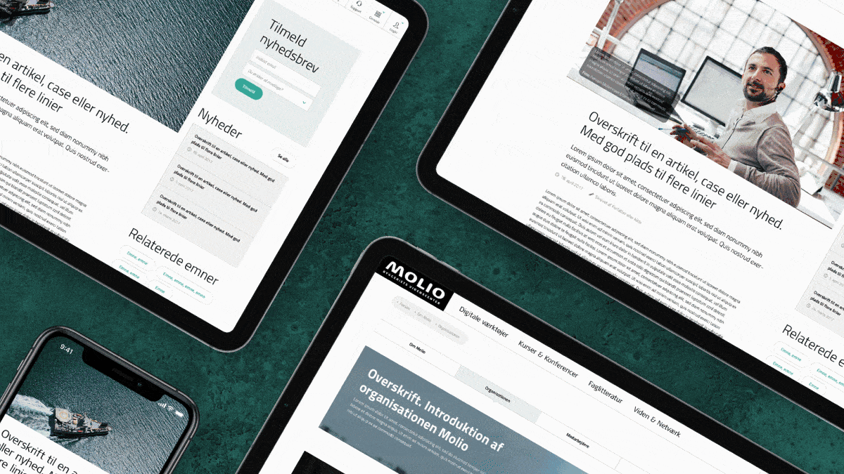 Animated Molio website mockup shown across mobile and tablet devices, featuring article pages, newsletter signup, related topics, and a clean editorial knowledge platform interface.