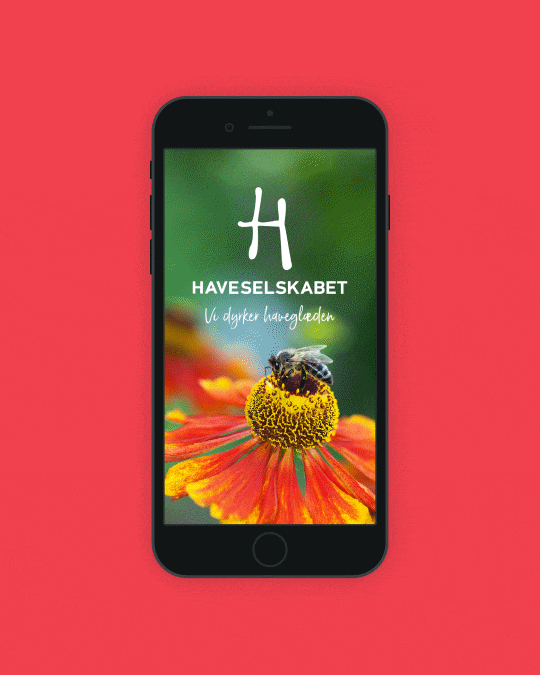 Animated mobile app intro screen for Haveselskabet, showing the brand identity with a close-up flower image and a bee against a bold background.