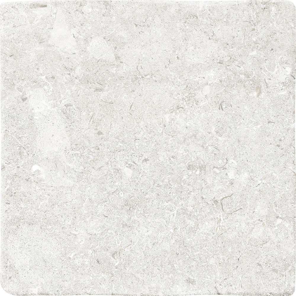 Vicentina XXS Bianco