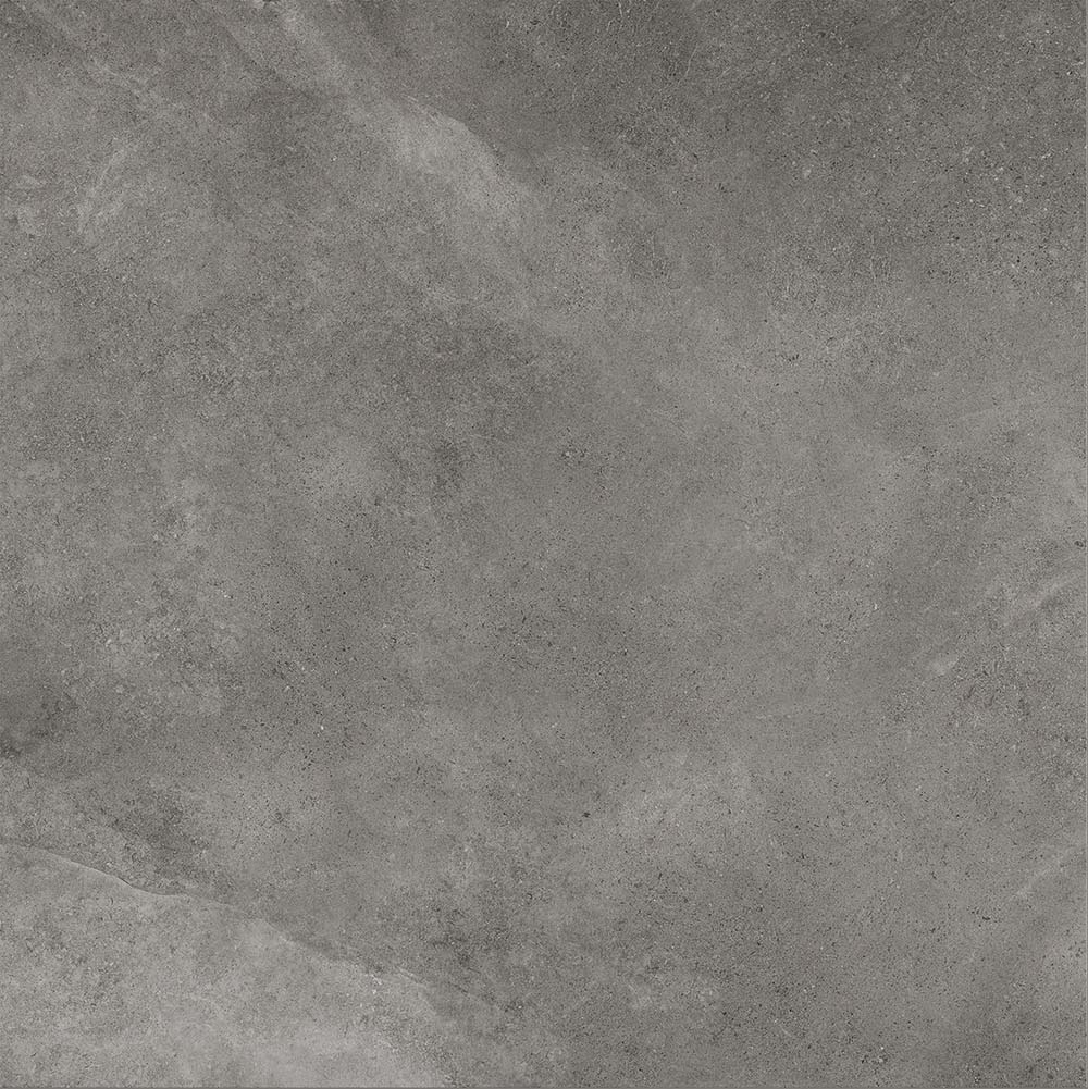 Leccese Fossile