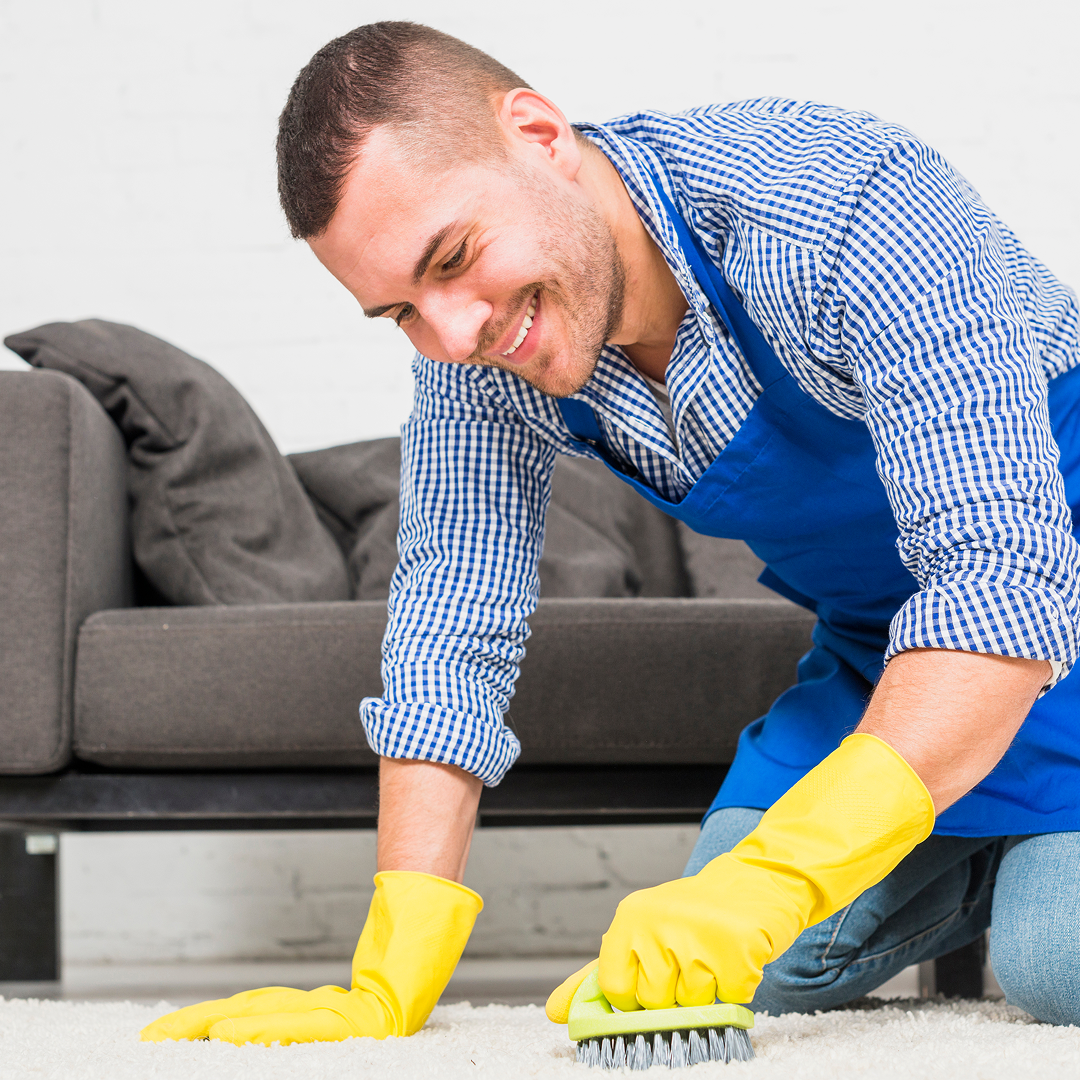  Professional carpet cleaner using hot water extraction machine on living room carpet