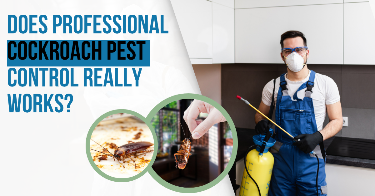 Does Professional Cockroach Pest Control Really Work?