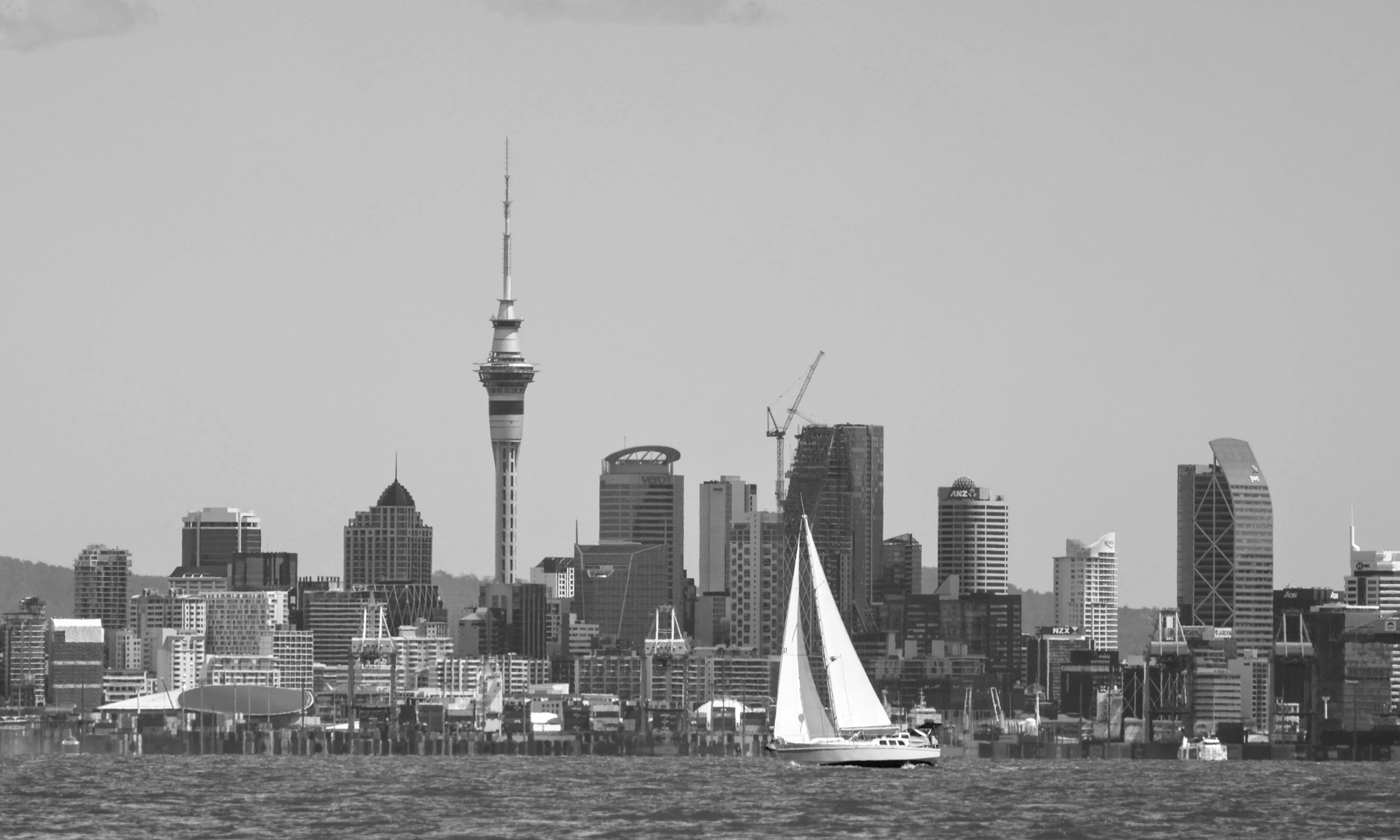 Auckland city skyline featuring the Sky Tower. A sailboat with white sails is in the foreground on the water, emphasizing the name the City of Sails.