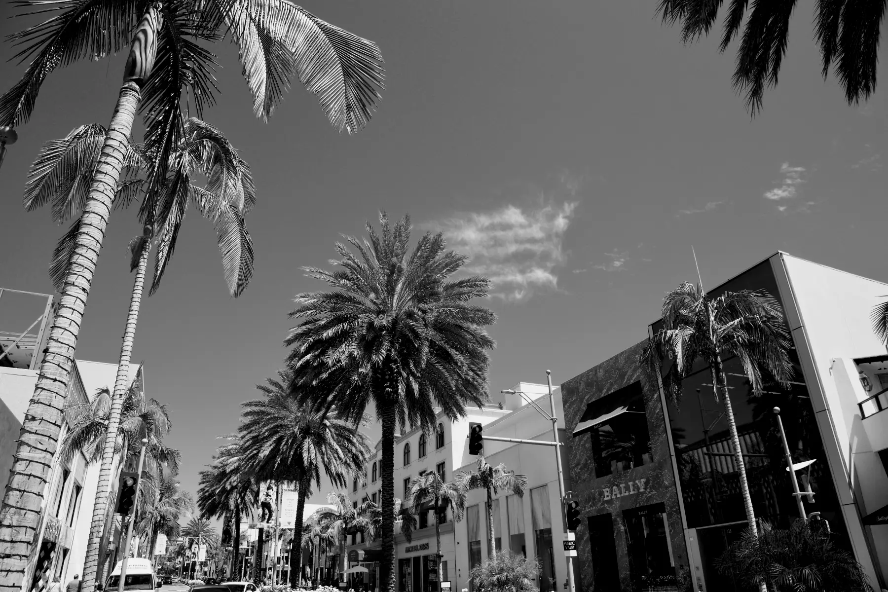 street view of Los Angeles, California, featuring tall palm trees lining both sides of the road