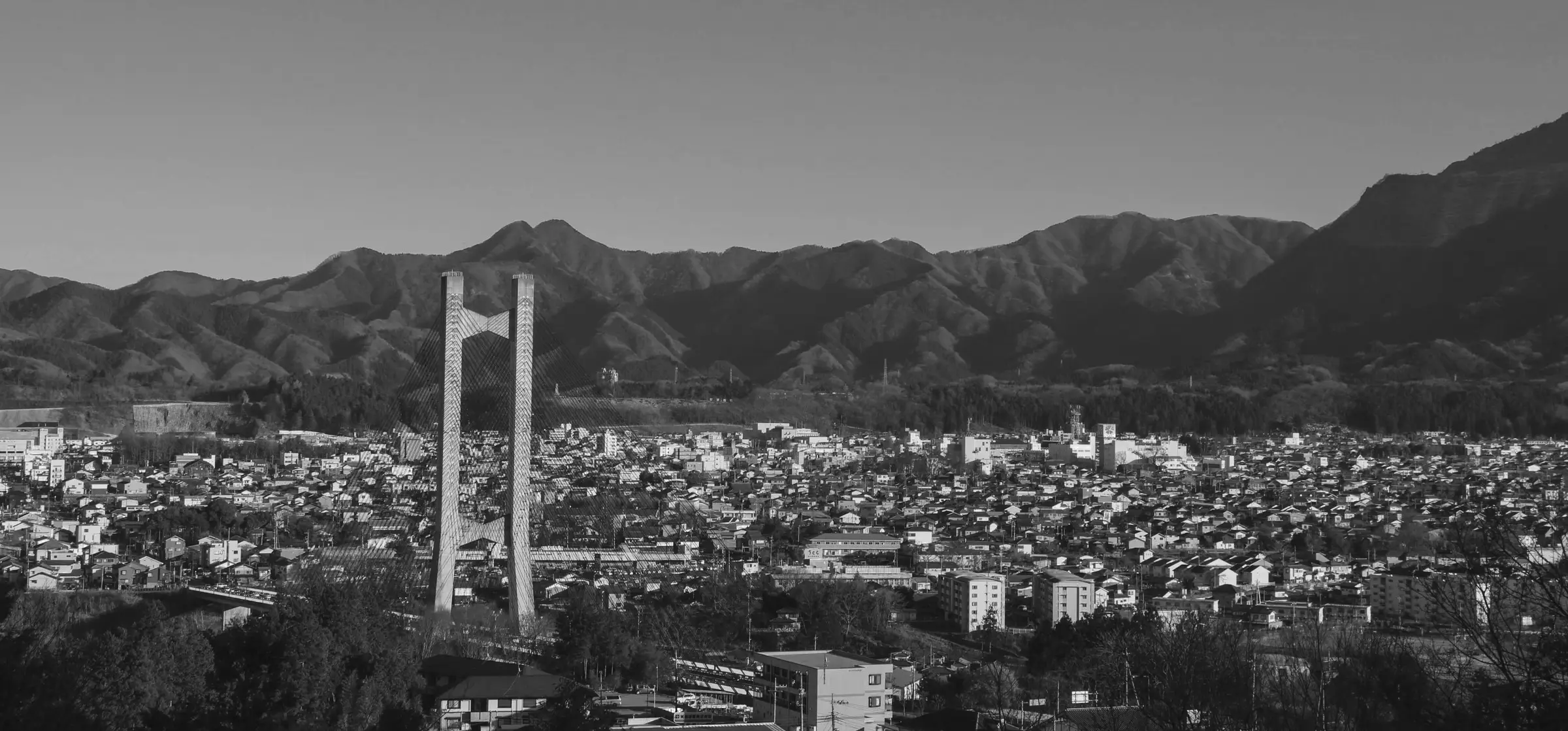 Panoramic view of Saitama with a prominent bridge