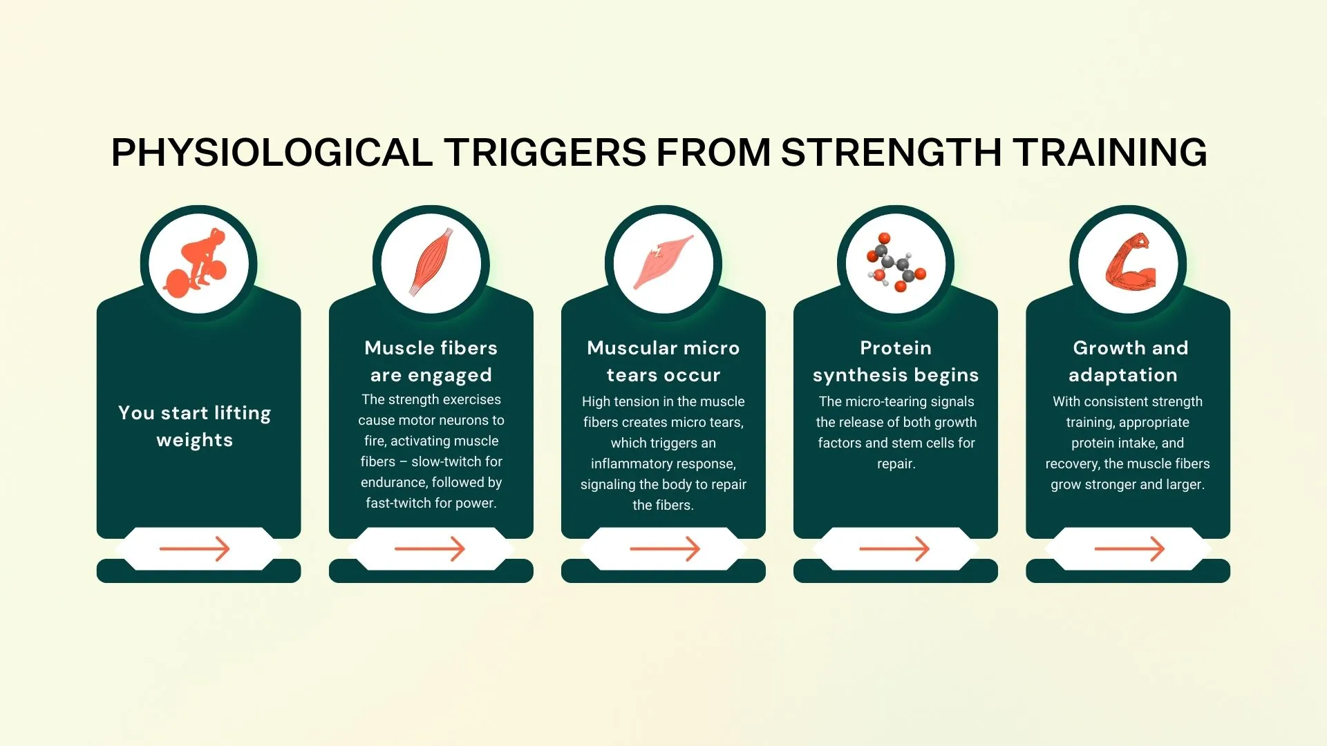 Physiological triggers from strength training