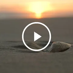 Mindfulness of breathing