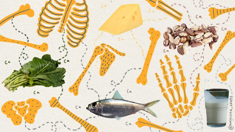 THE SECRETS TO BONE HEALTH