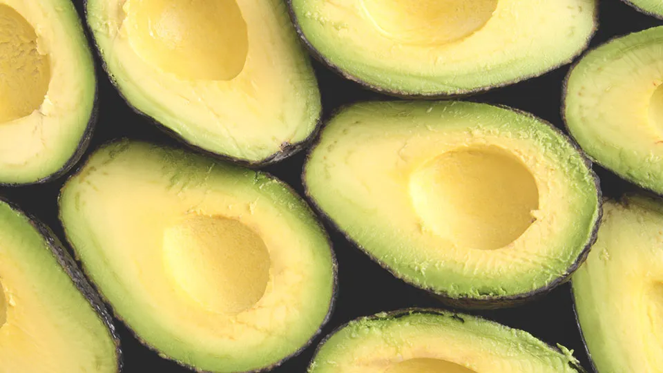 FAT FACT VERSUS FAT FICTION