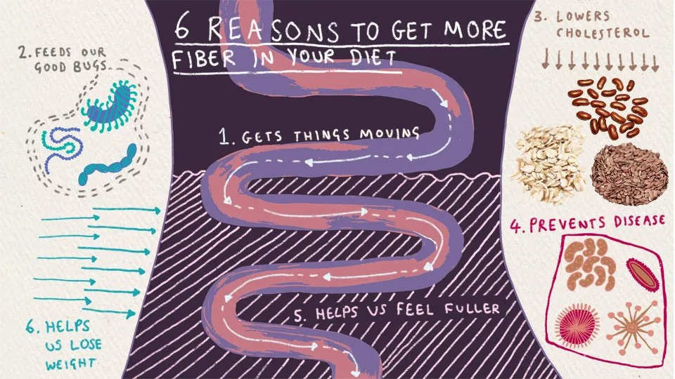 6 REASONS TO LOVE FIBER 