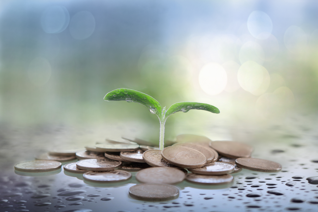 planejamento financeiro para academias