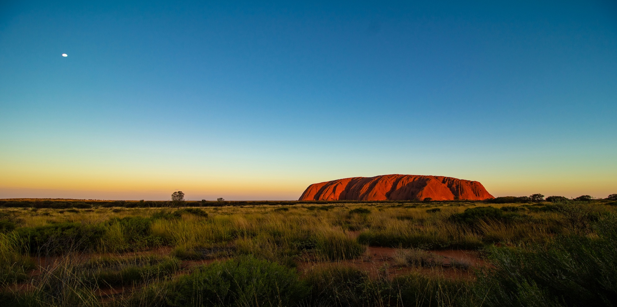 uluru and showing australian business registration