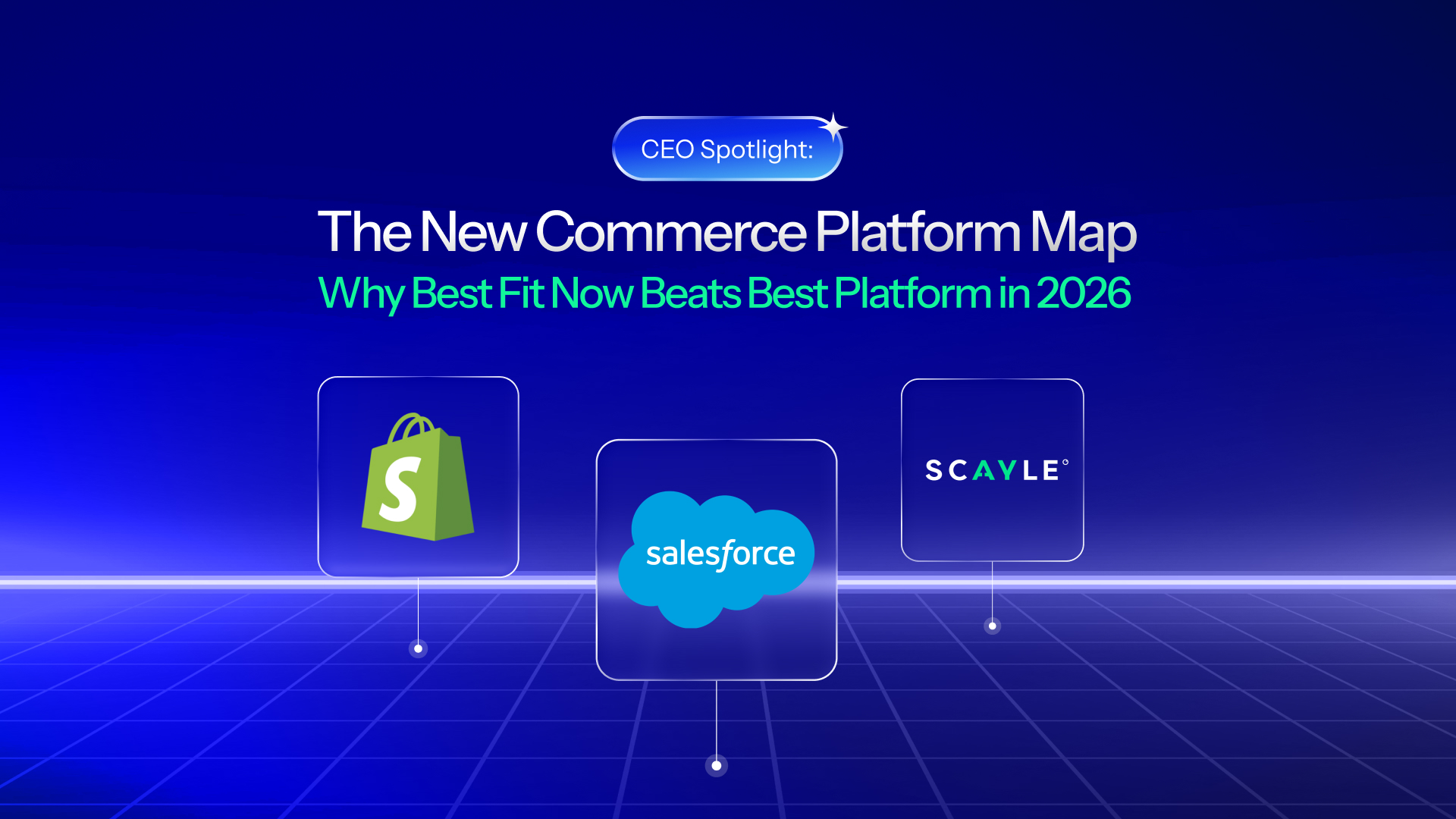 blue gradient digital grid representing the digital landscape with three major ecommerce providers (shopify, Salesforce & Scayle) mapped onto it