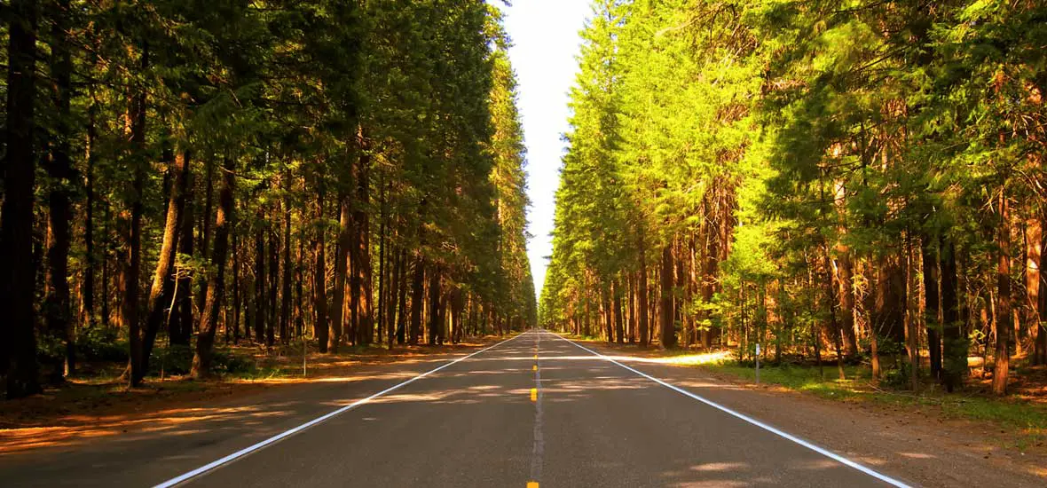 Where Does the Payment Technology Road Lead?