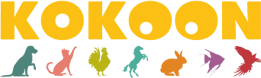 Kokoon