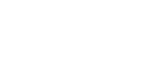 Netto