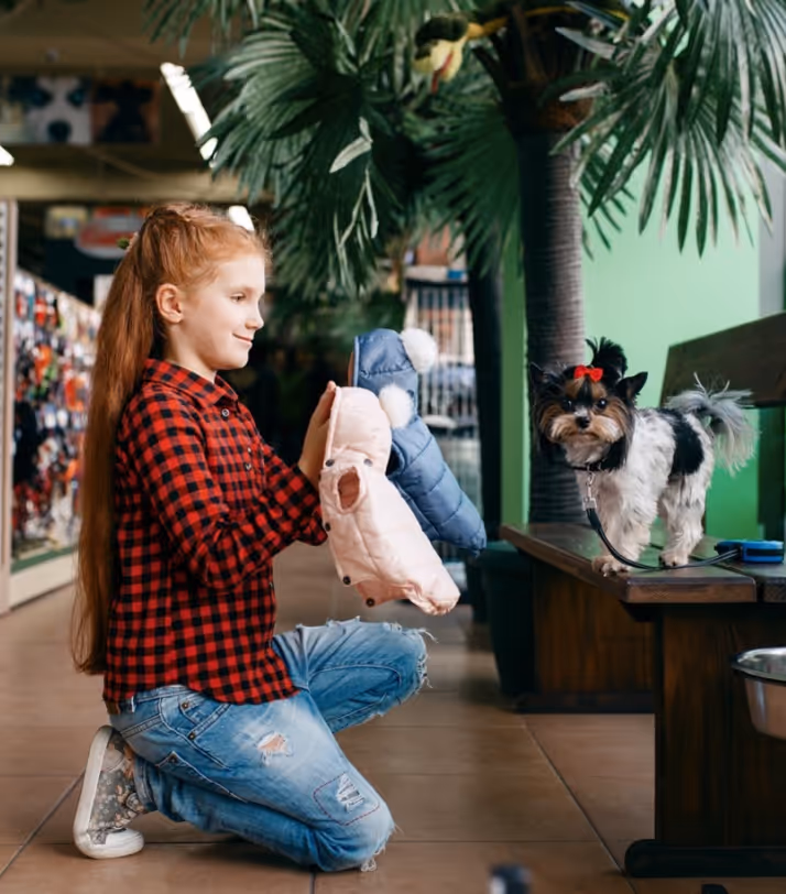 TYP - Study - Baromètre ACE #2 - Animalerie