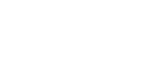 Action