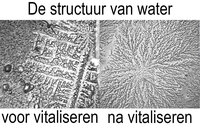 (deel 4) Vitaal water, de vierde fase van water? Lichtenergie als drijvende kracht in de mens?