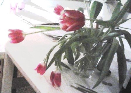 Bos bloemen voor het water vitaliseren.jpg