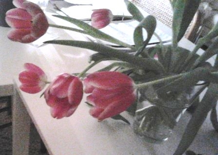 Bos bloemen na het water vitaliseren.jpg
