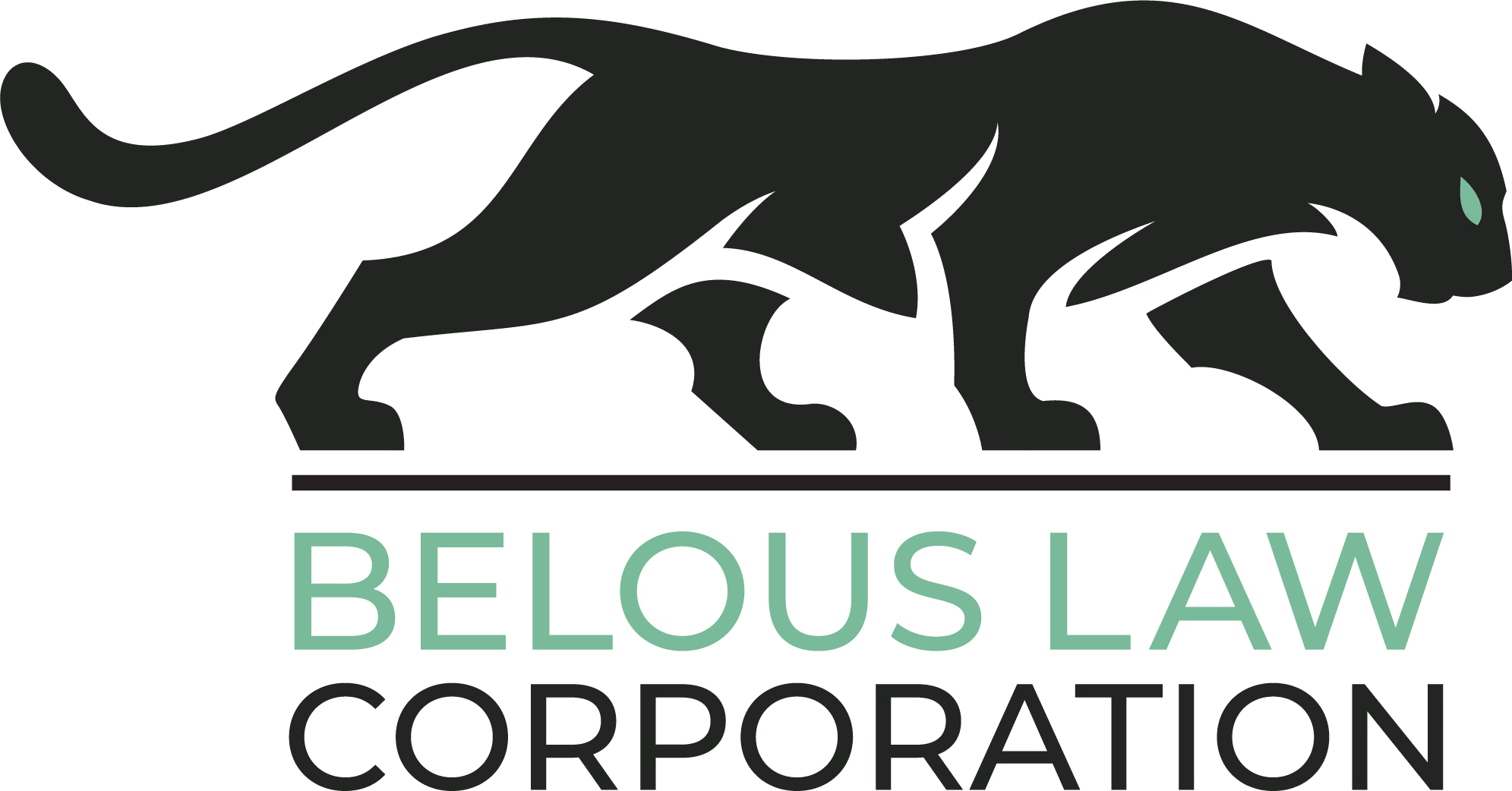 Belous Law