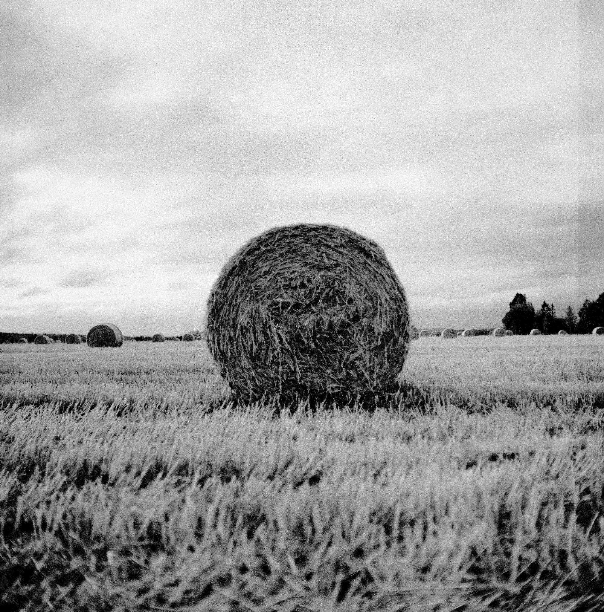 Innføring av jordbrukskonto for inntektsåret 2025