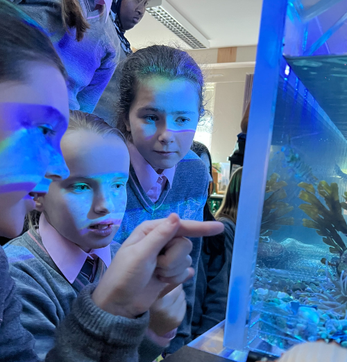 Instagram Feed Image