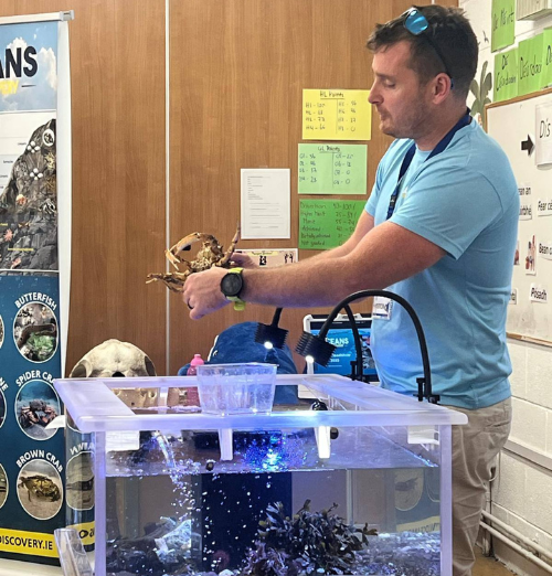 Instagram Feed Image