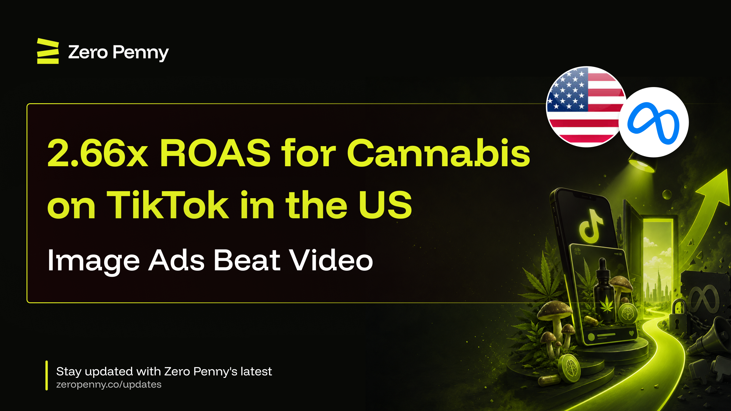 2.66x ROAS for Cannabis on TikTok in the US — Image Ads Beat Video