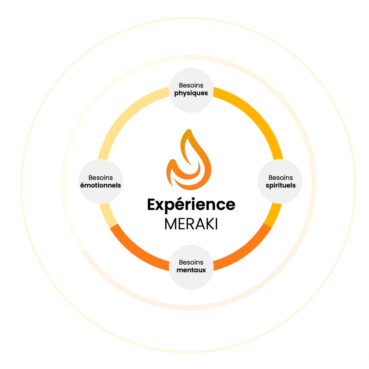 Infographie schéma circulaire Meraki