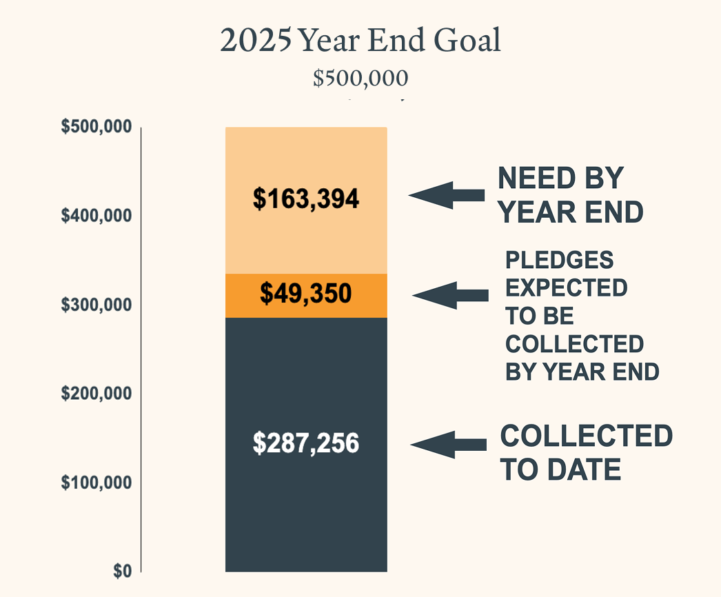A bar graph showing the 2025 Total Campaign goal for ICC's new building
