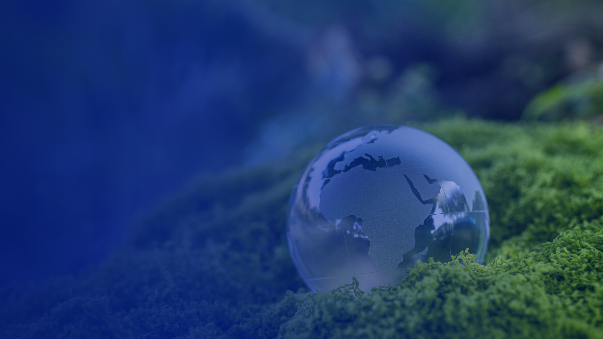 Denxpert Academy program focusing on CSRD and sustainability reporting standards