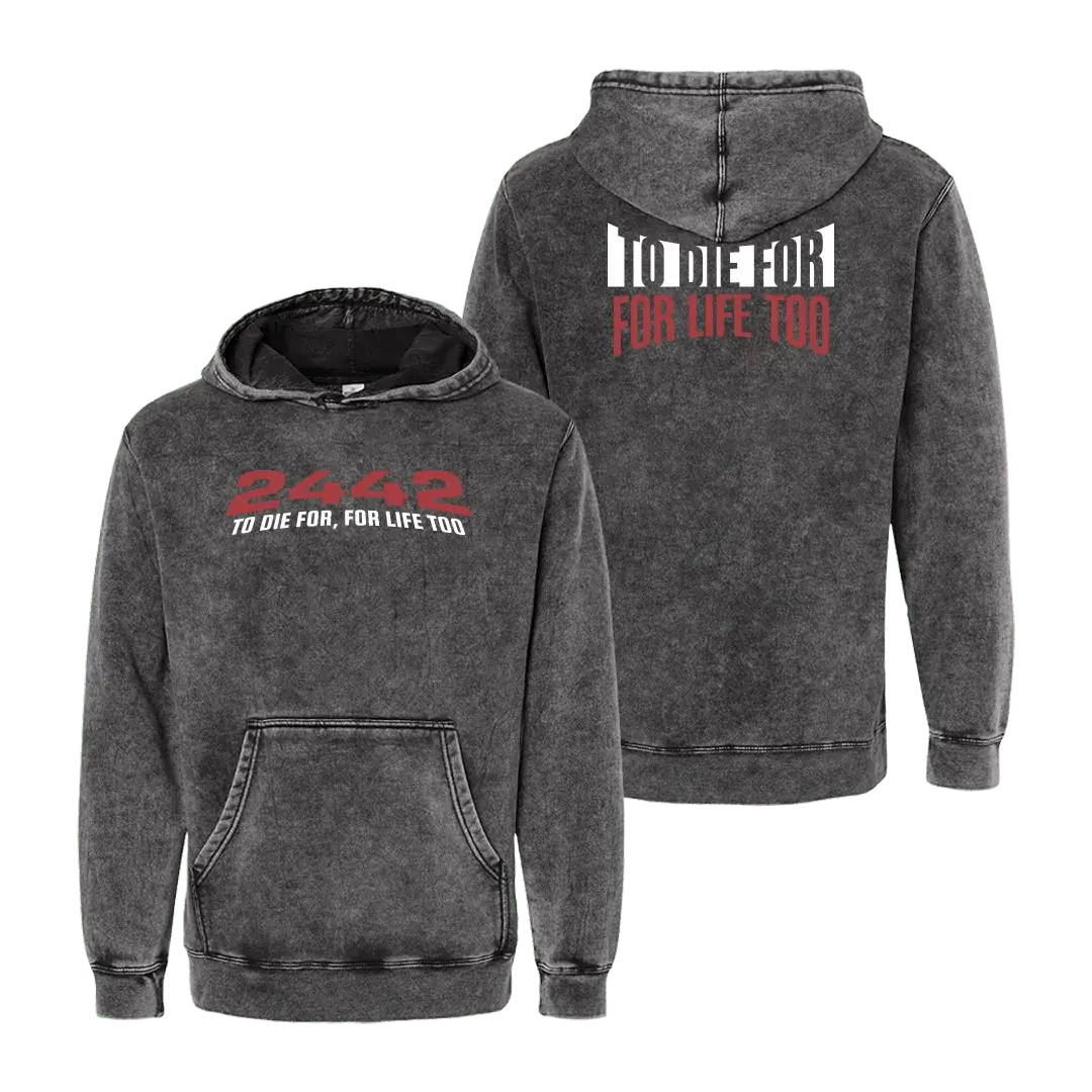 Baron Browning 2442 TDFFLT Mineral Wash Hoodie