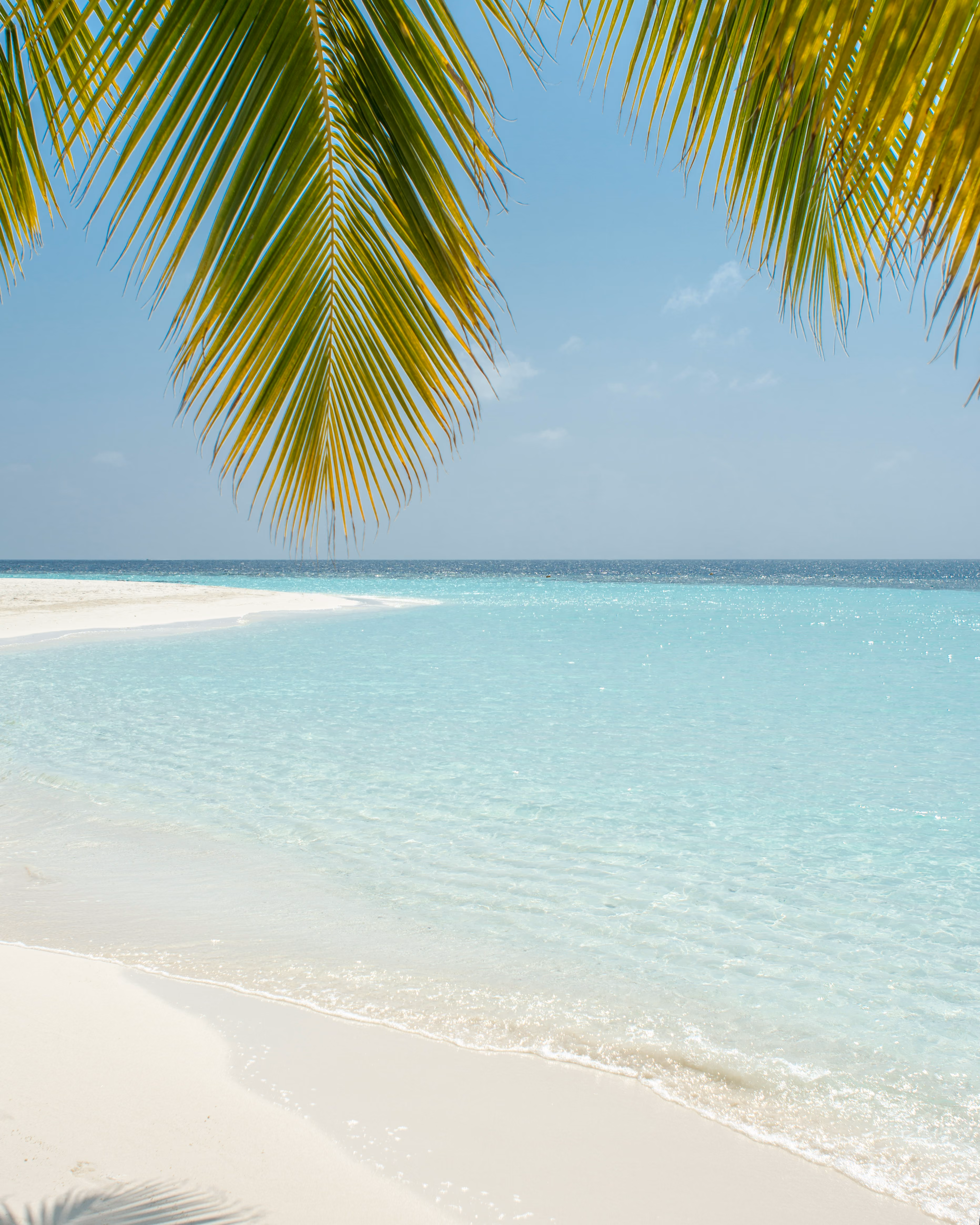 Travel Insurance