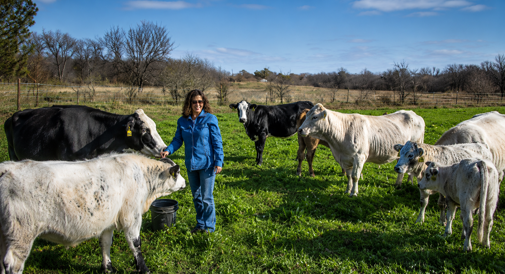 Texas cattle producer inspecting a herd while discussing Livestock Risk Protection (LRP) Insurance in Texas for fed cattle, feeder cattle, and swine price protection.