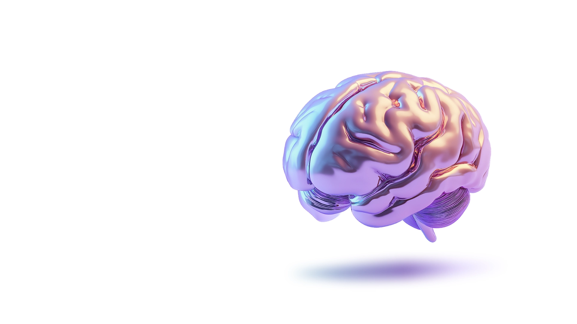 A detailed metallic holographic human brain with pearlescent colors