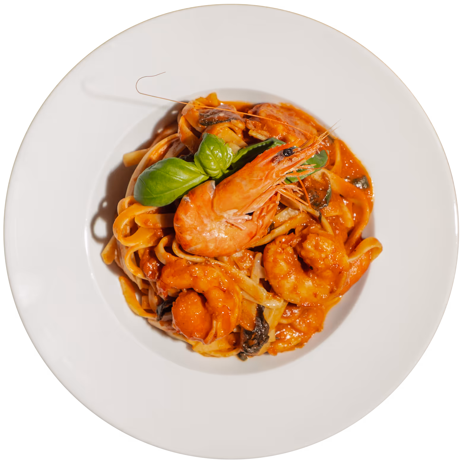 Ein Teller mit Linguine-Nudeln in Tomatensauce, garniert mit Garnelen und frischem Basilikum.