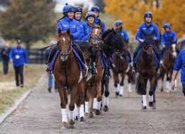 Enhancing the Customer Experience in Horse Racing:Standardizing Experiences Across Racetracks
