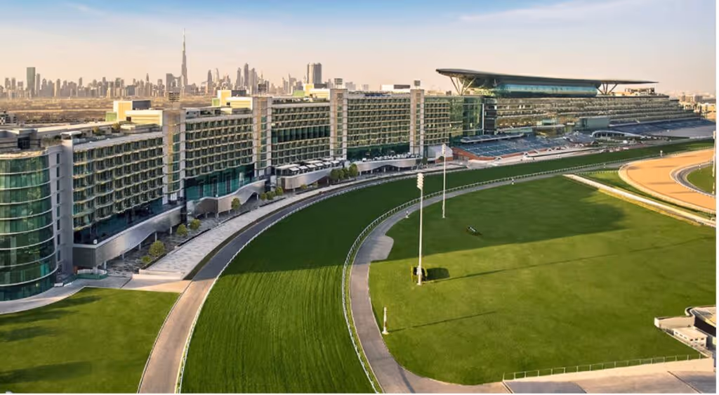 From Fishing Nets to Skyline Heights: My Journey Witnessing Dubai's Phenomenal Rise